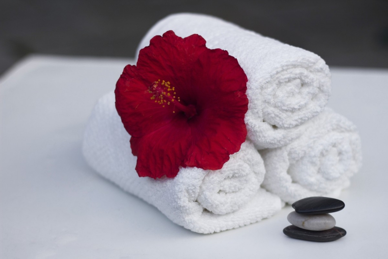 hotel-BARGEME-min_towel_hibiscus_clean_care_salon_spa_white_bath-869834